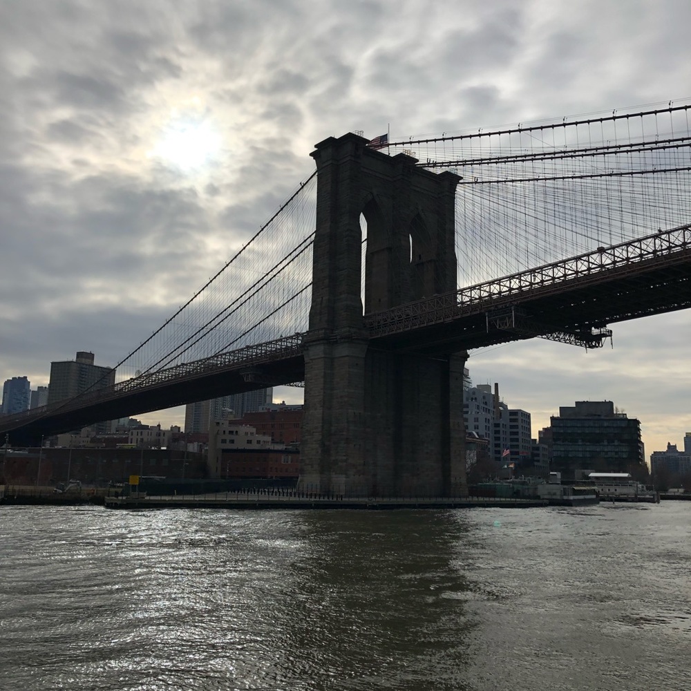 Meet your Posher, Teagan